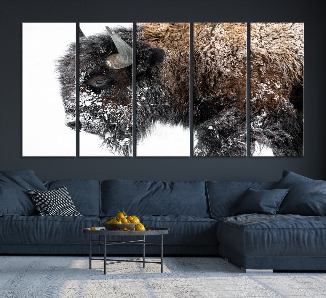 Bison Wall Art Canvas