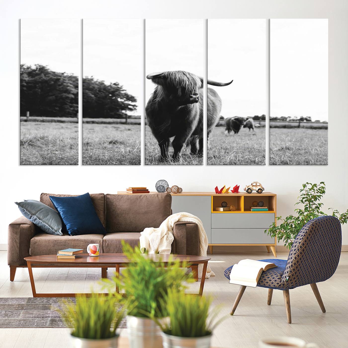 Scottish Cow Highland Wall Art Canvas Print