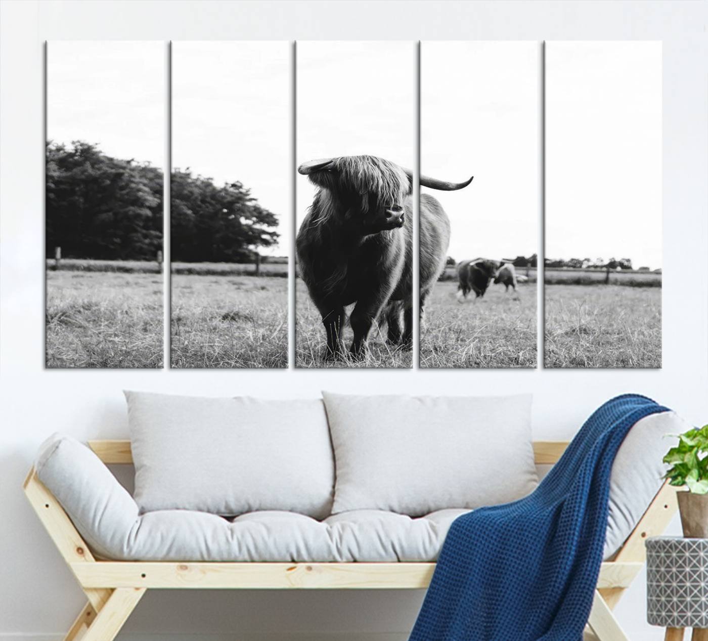 Scottish Cow Highland Wall Art Canvas Print