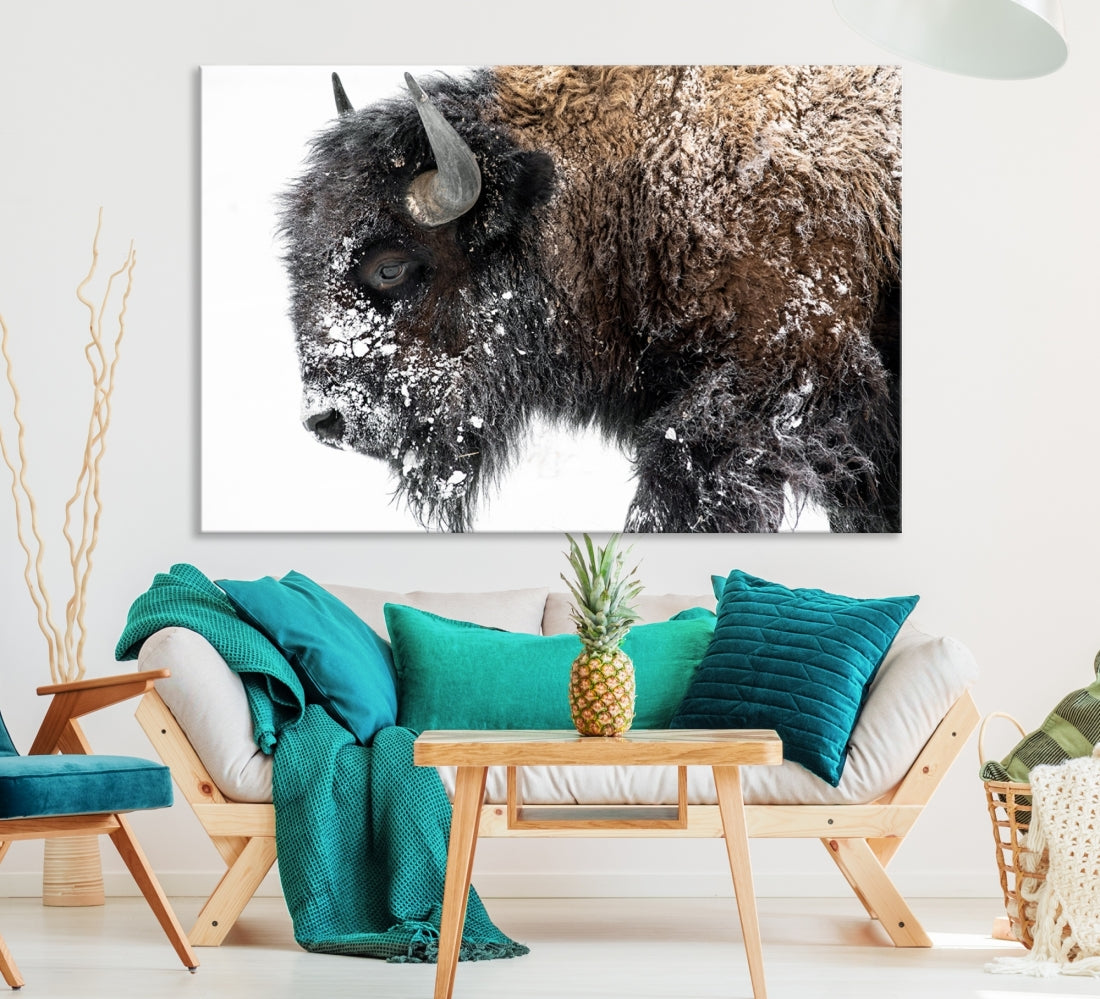 Bison Wall Art Canvas