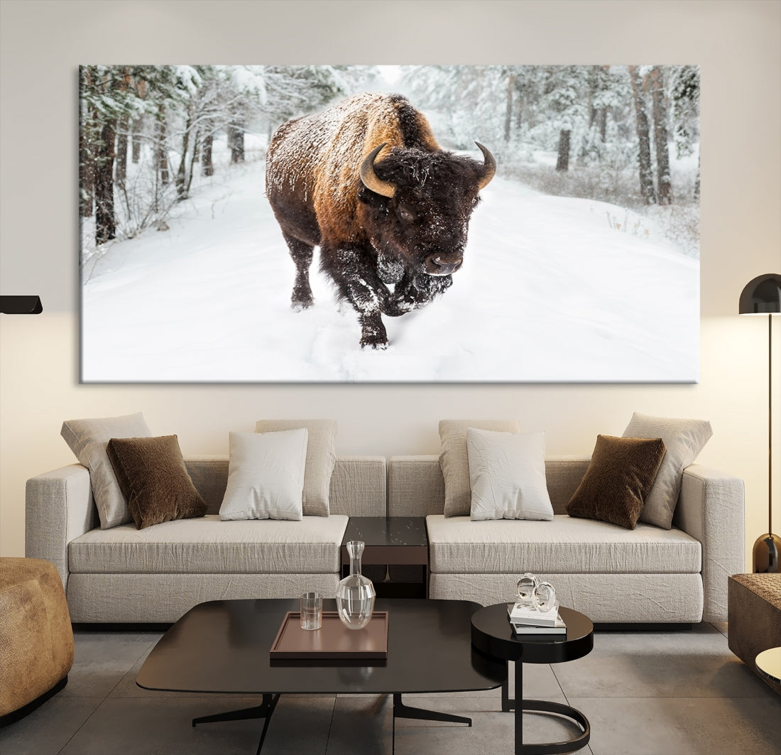 Bison Wall Art Canvas Print Winter