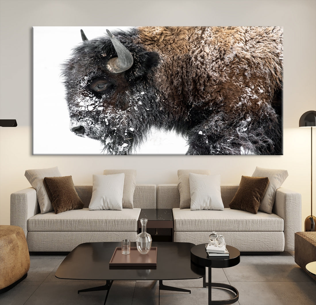 Bison Wall Art Canvas