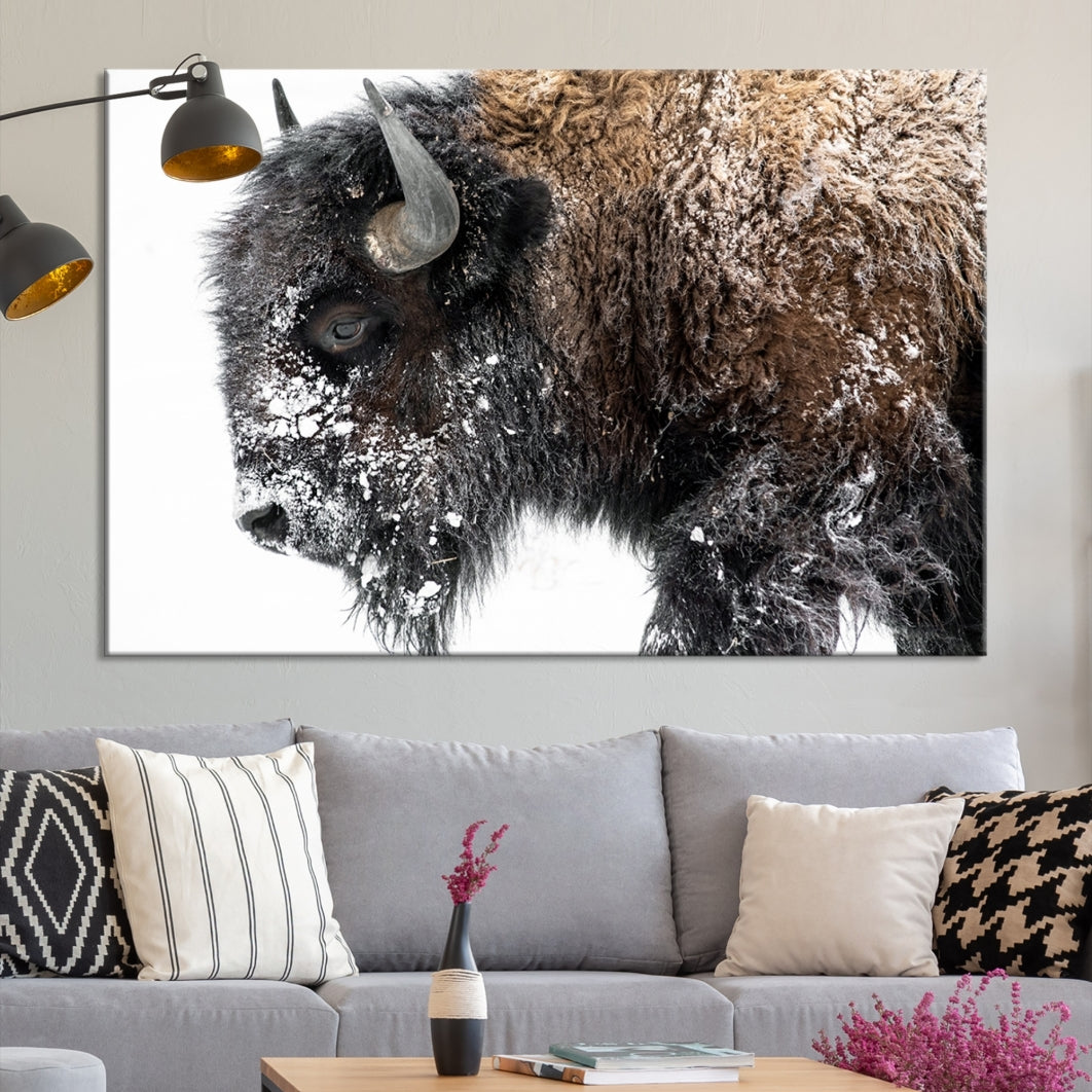 Bison Wall Art Canvas