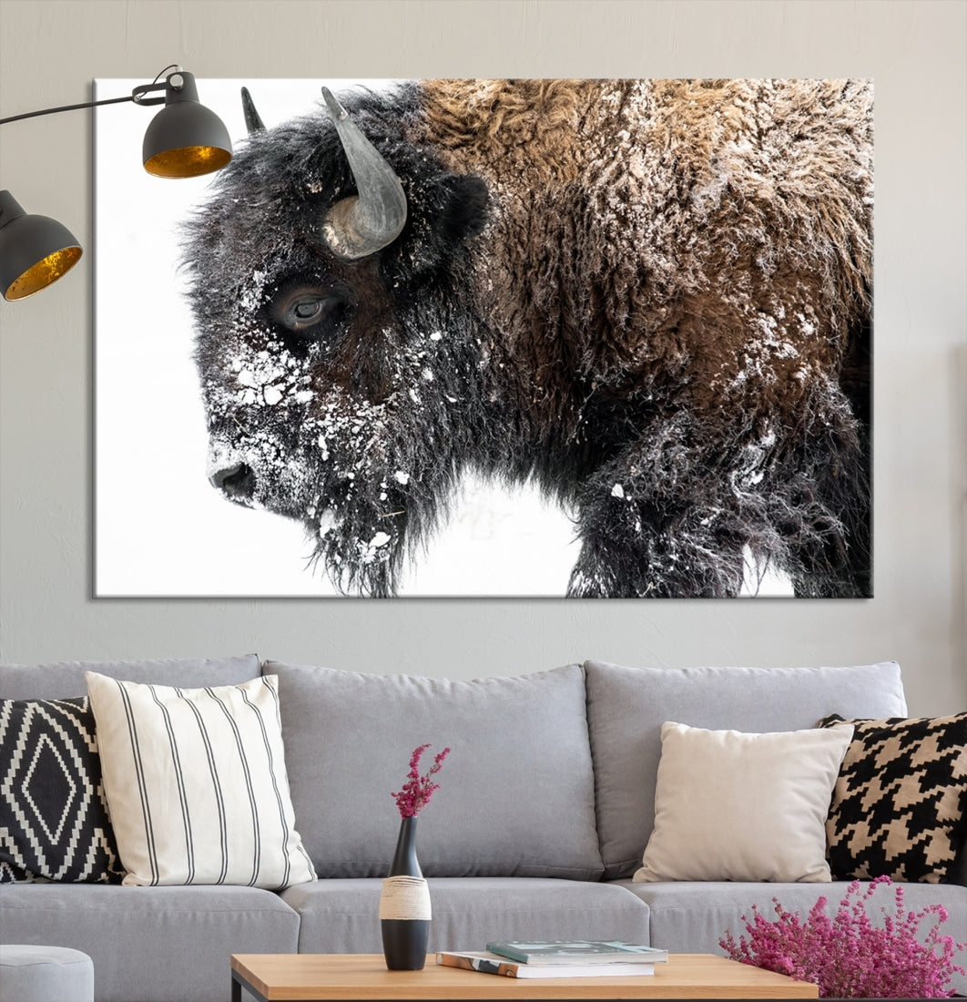 Bison Wall Art Canvas