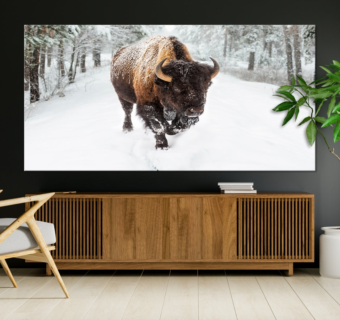 Bison Wall Art Canvas Print Winter