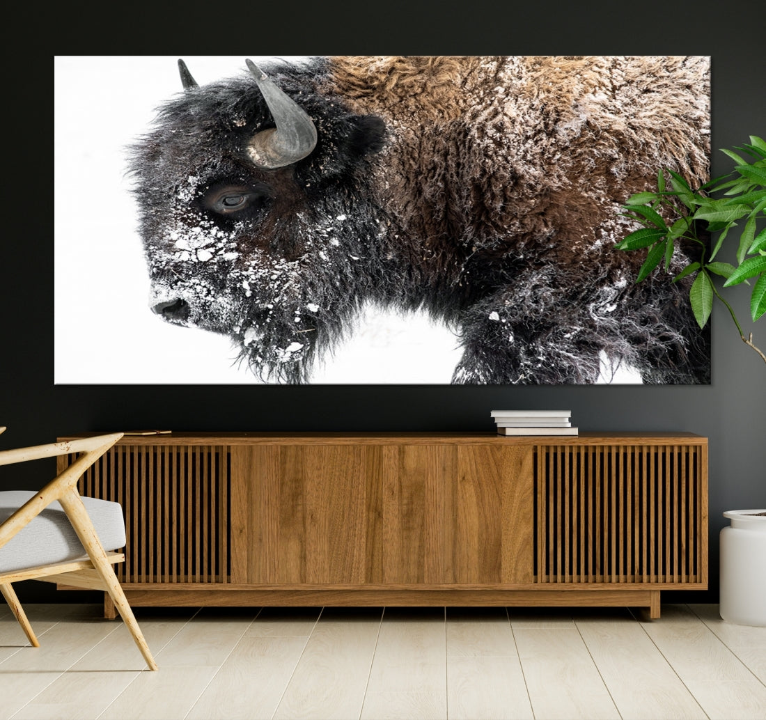 Bison Wall Art Canvas