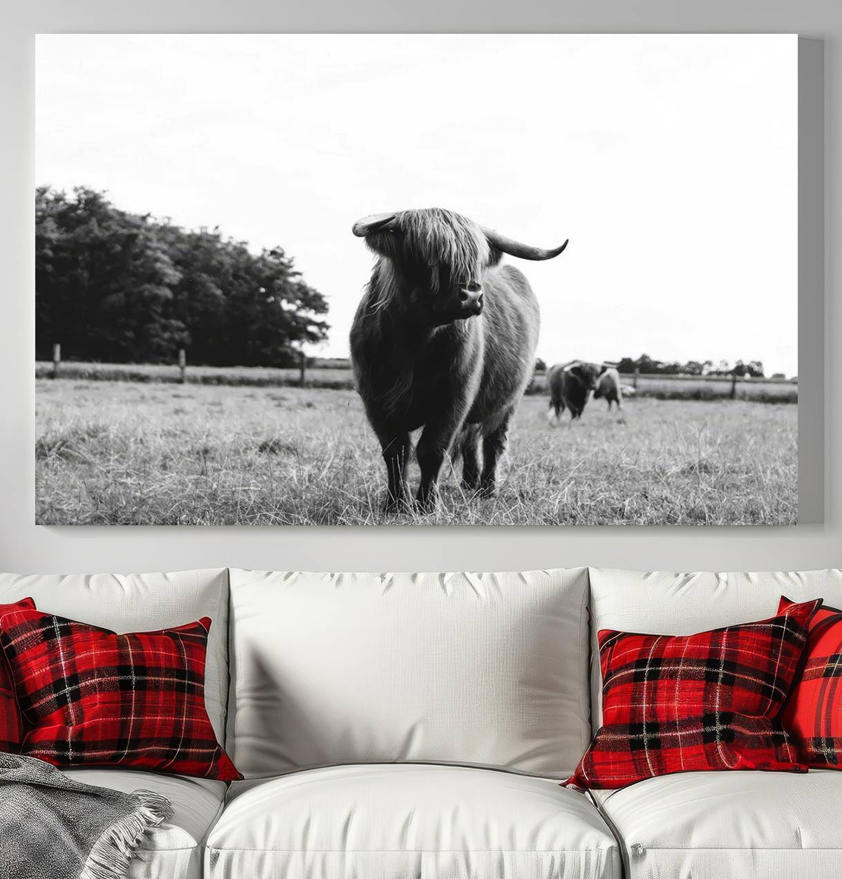 Scottish Cow Highland Wall Art Canvas Print