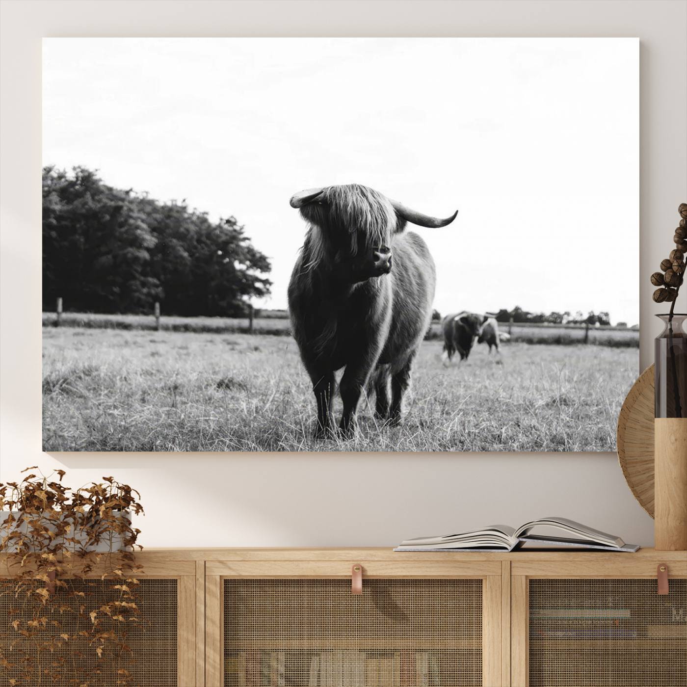 Scottish Cow Highland Wall Art Canvas Print