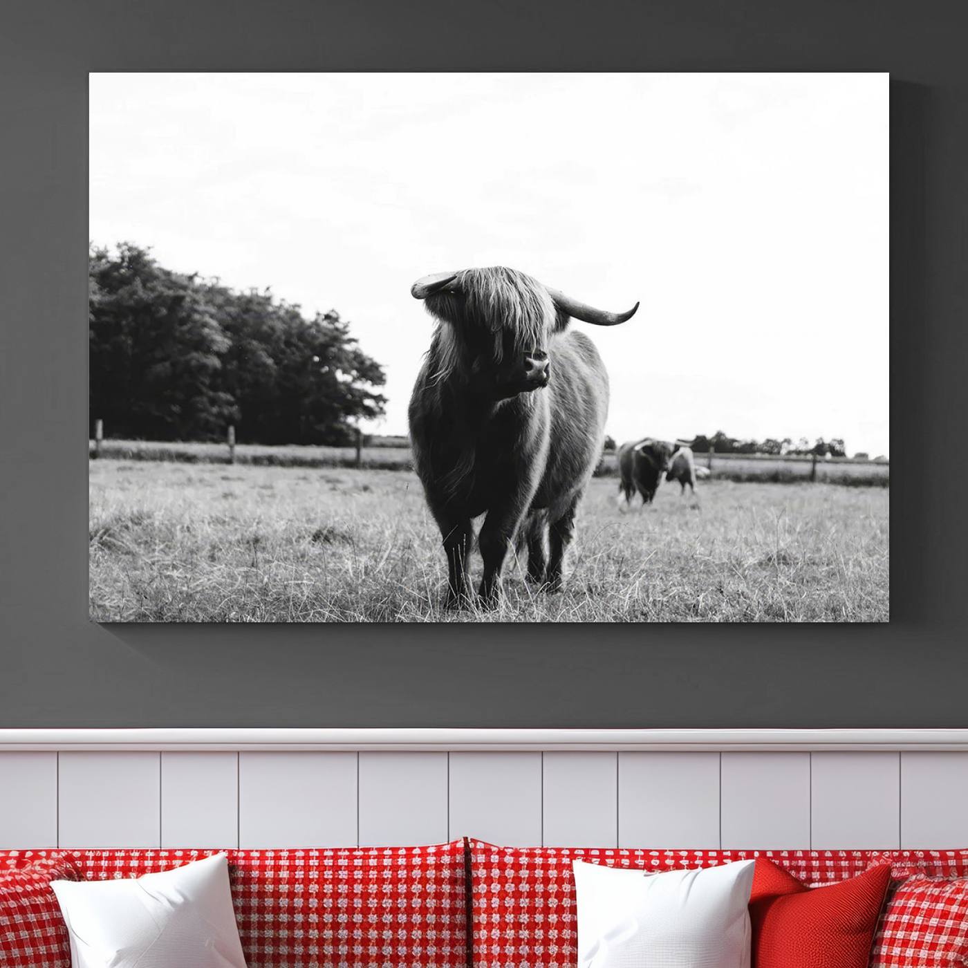 Scottish Cow Highland Wall Art Canvas Print