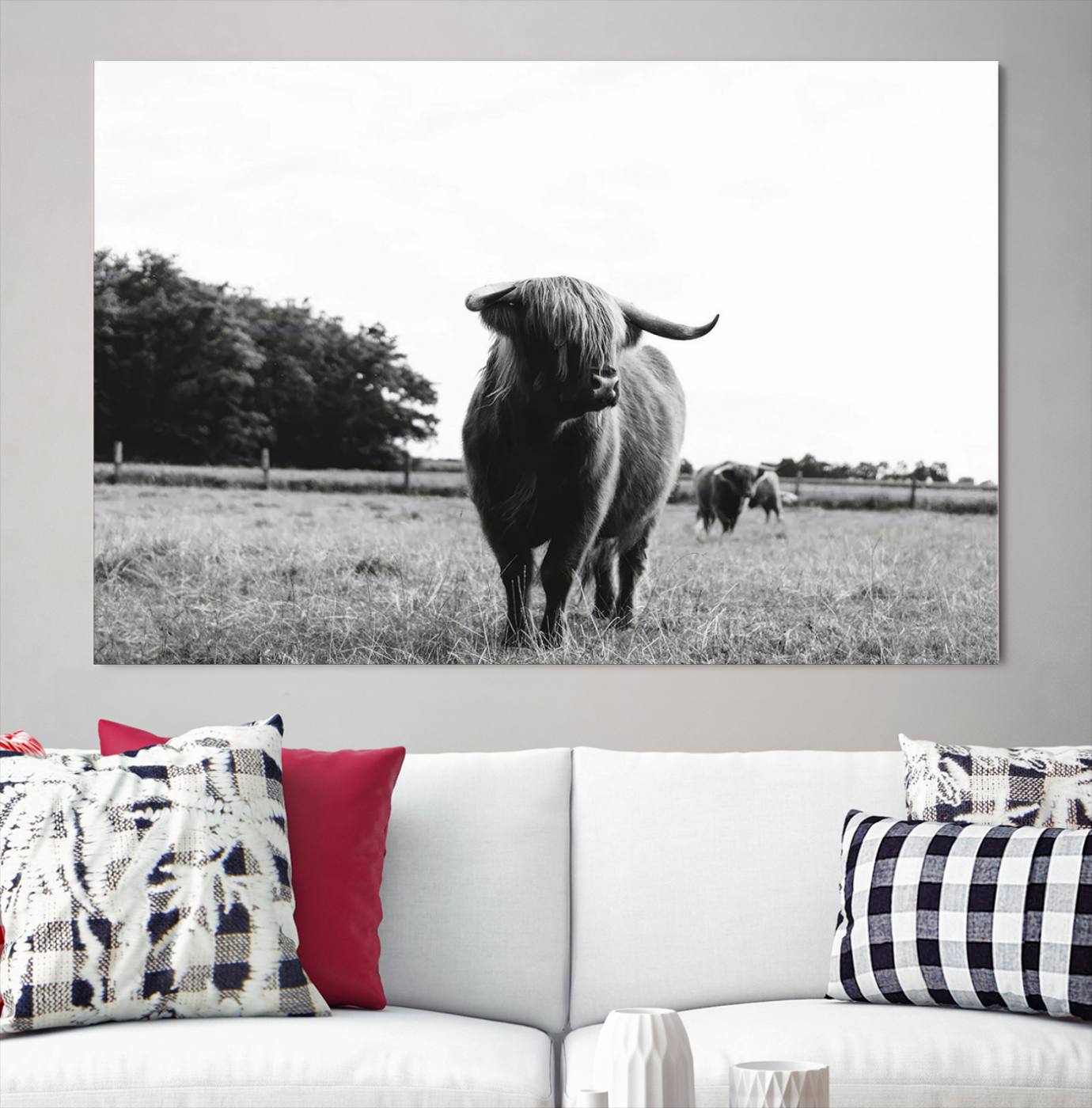 Scottish Cow Highland Wall Art Canvas Print