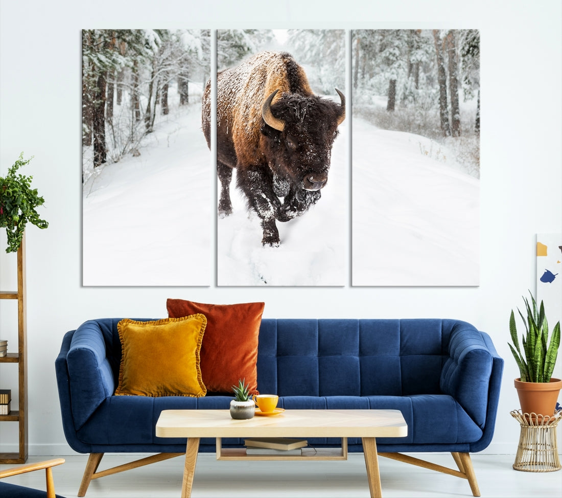 Bison Wall Art Canvas Print Winter