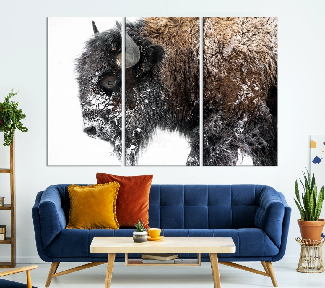 Bison Wall Art Canvas