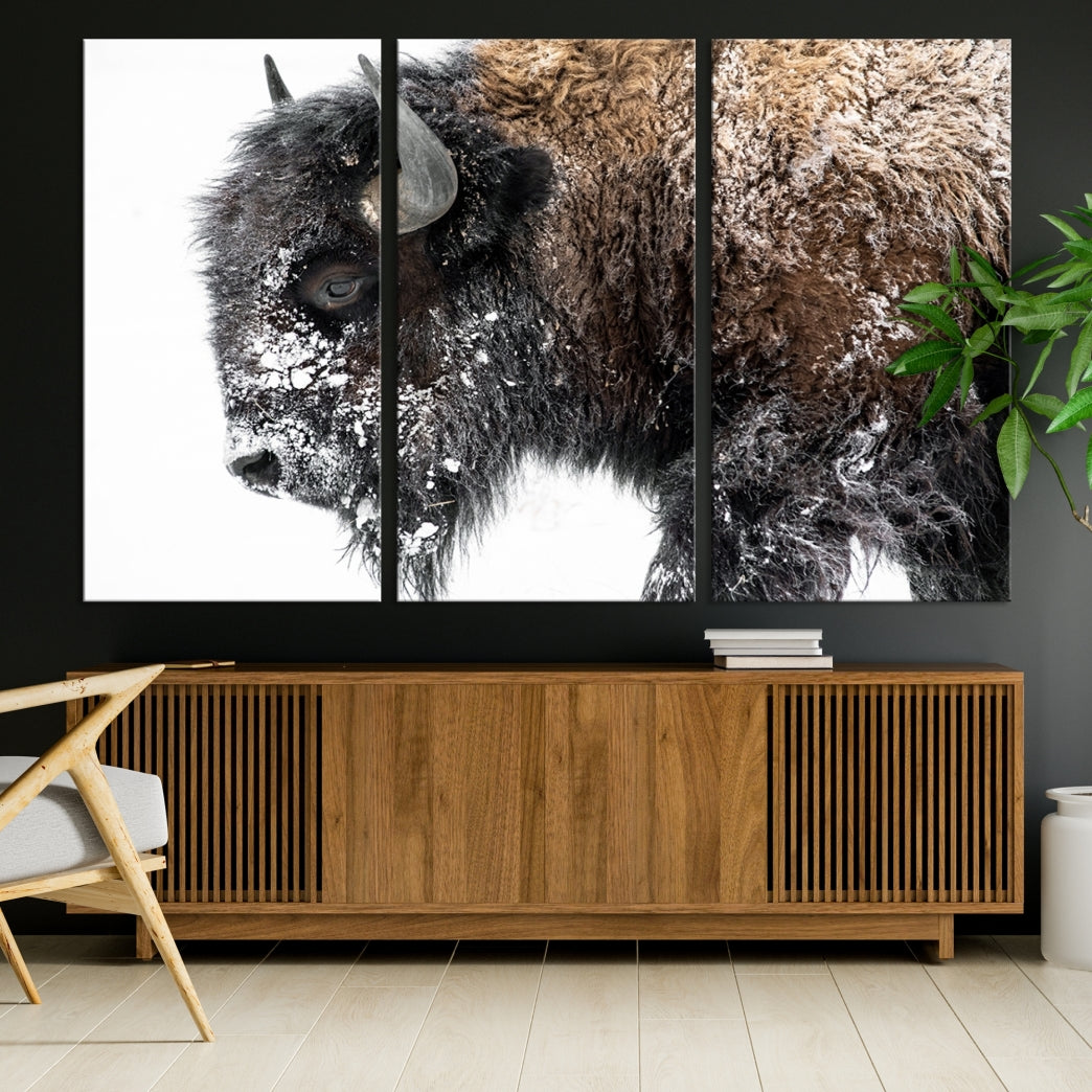 Bison Wall Art Canvas