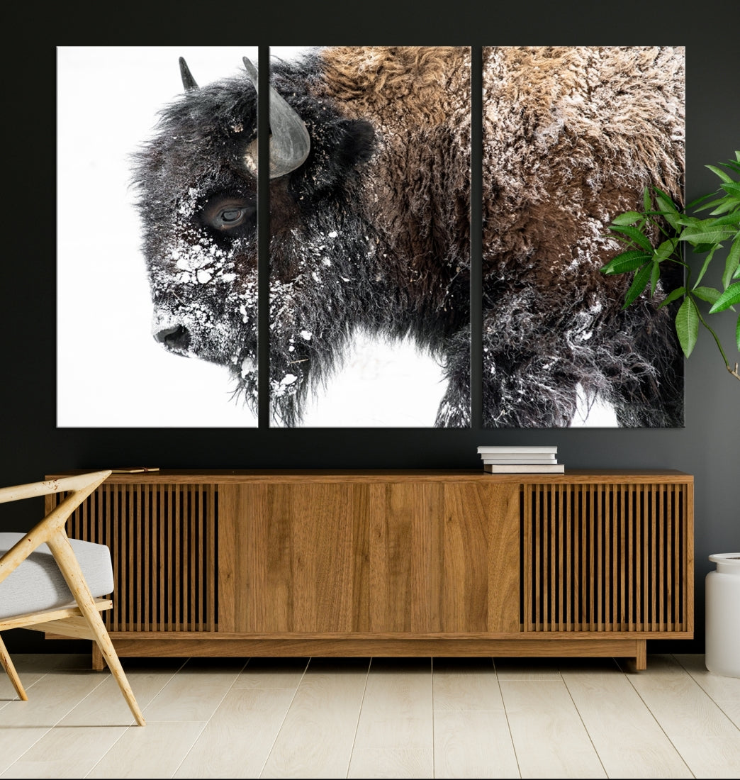 Bison Wall Art Canvas