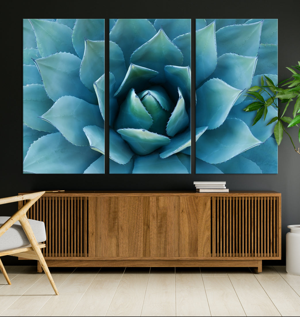 Large Wall Art Canvas Print - Blue Agave Flower Taken over It