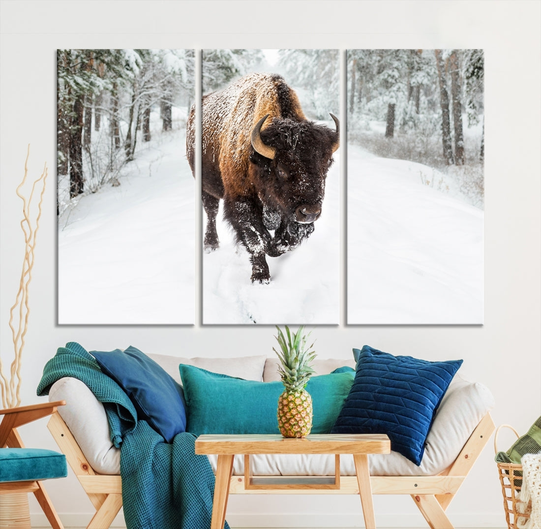 Bison Wall Art Canvas Print Winter