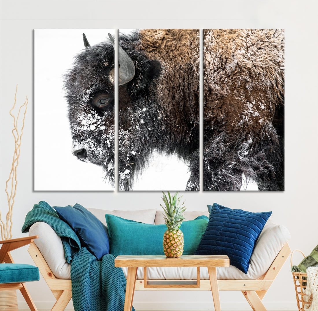 Bison Wall Art Canvas