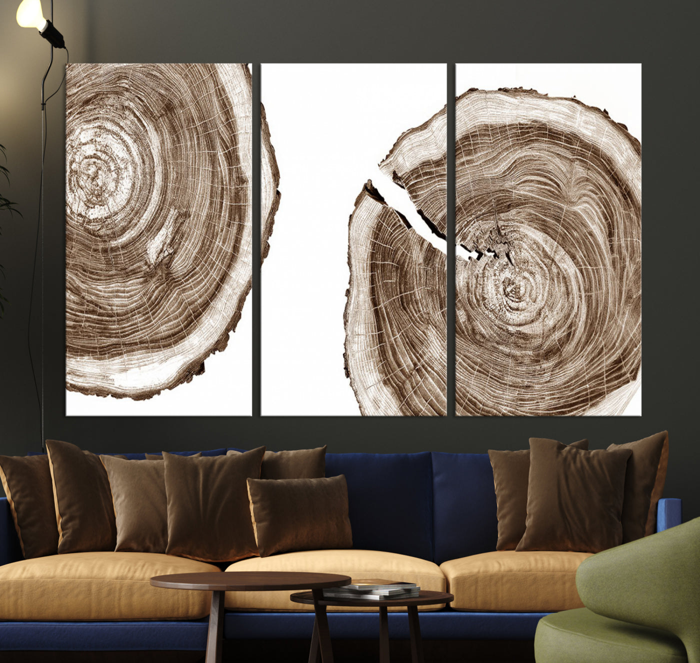 Wood Tree Ring Wall Art Canvas Prints, Lake House and Farmhouse Wall Art Print