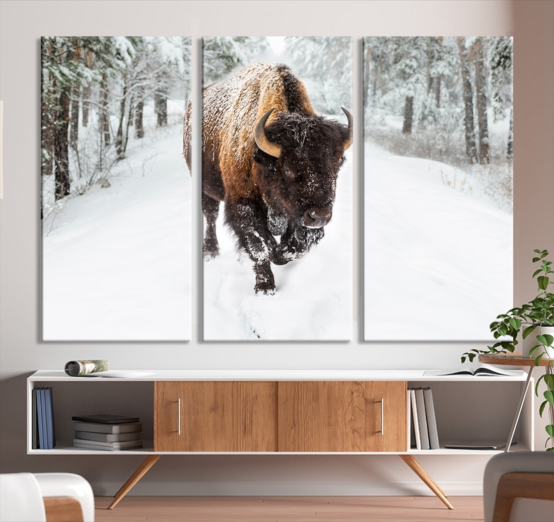 Bison Wall Art Canvas Print Winter