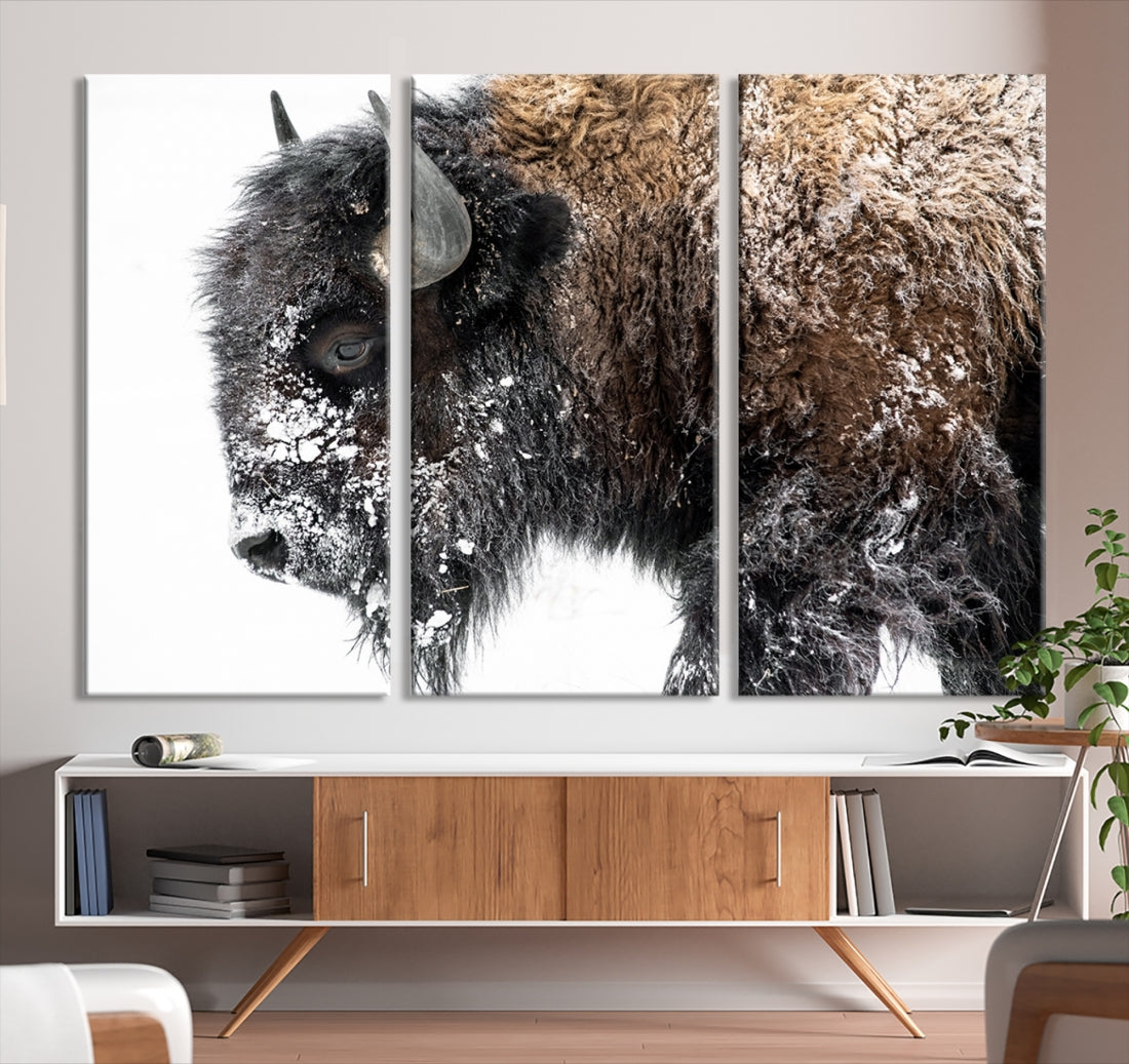 Bison Wall Art Canvas