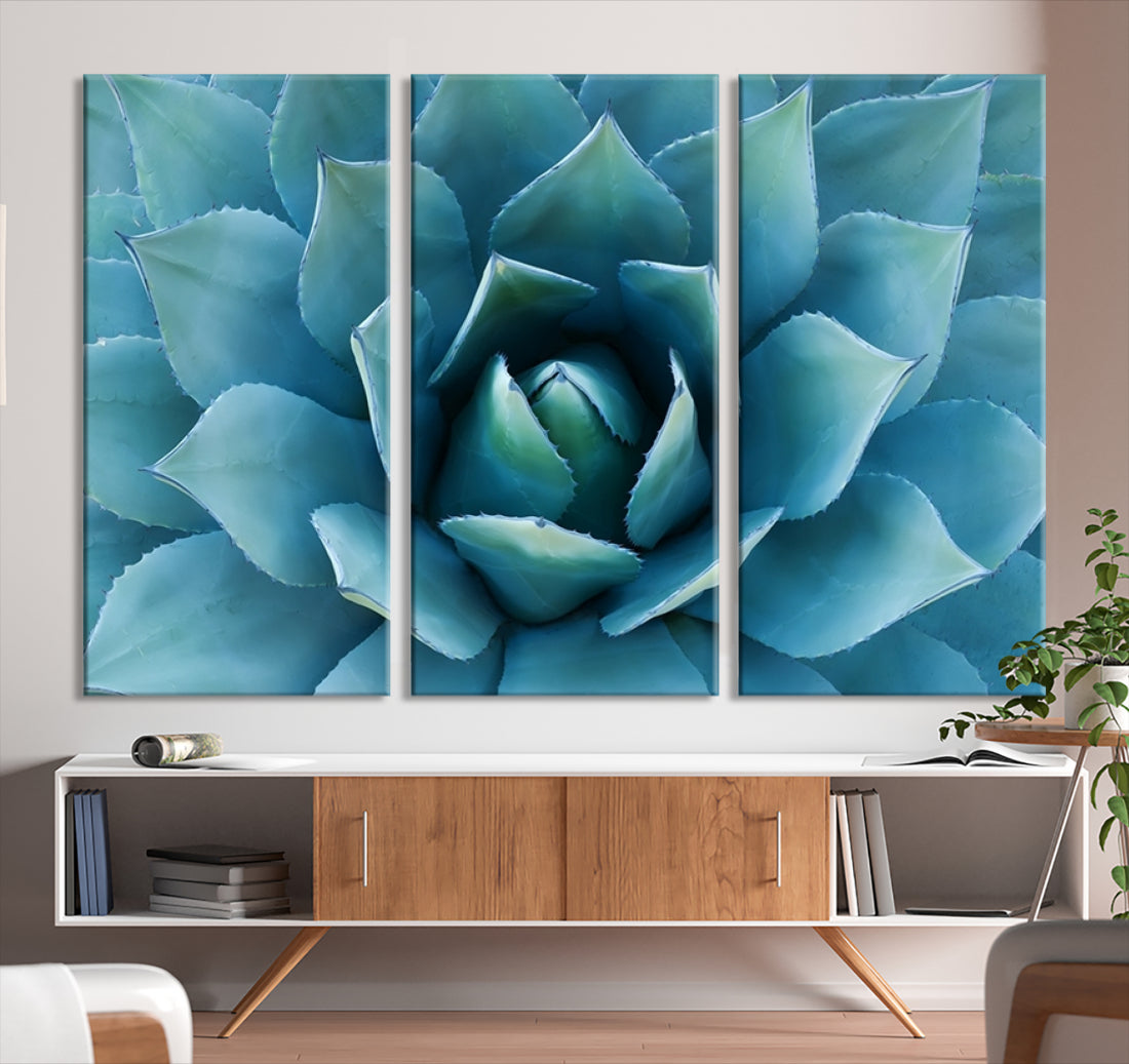 Large Wall Art Canvas Print - Blue Agave Flower Taken over It