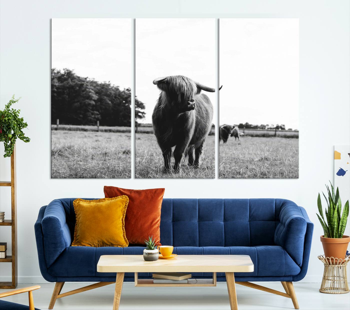 Scottish Cow Highland Wall Art Canvas Print