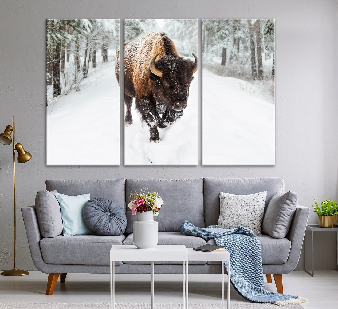 Bison Wall Art Canvas Print Winter