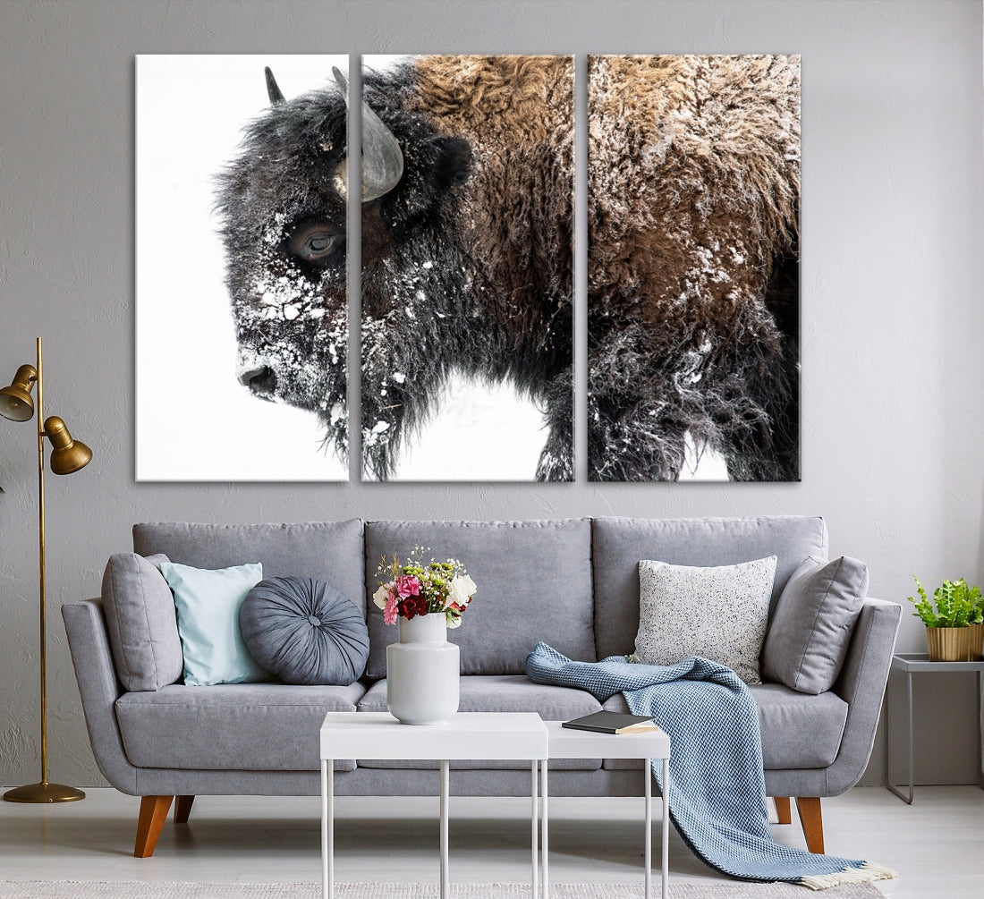 Bison Wall Art Canvas