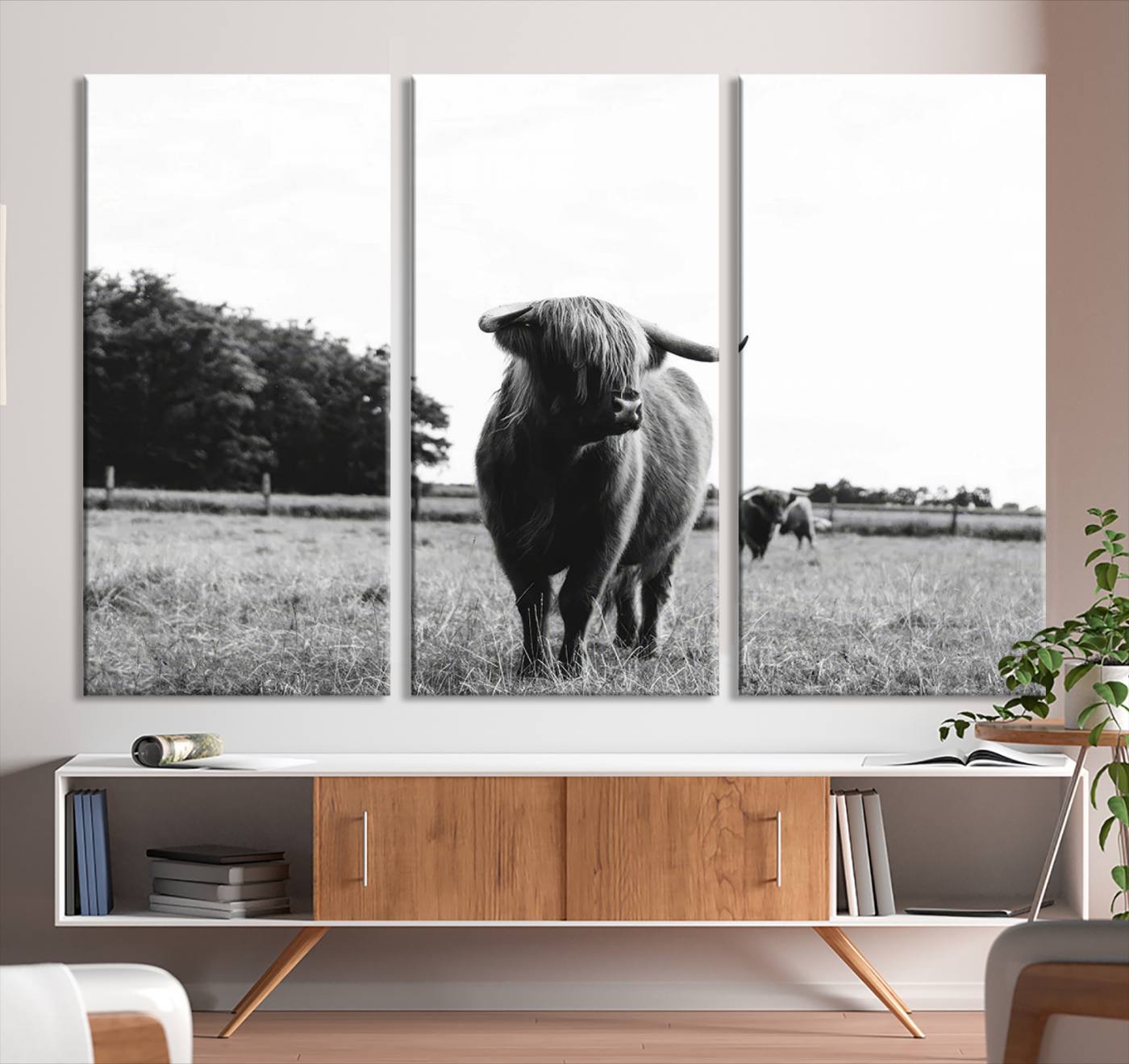 Scottish Cow Highland Wall Art Canvas Print