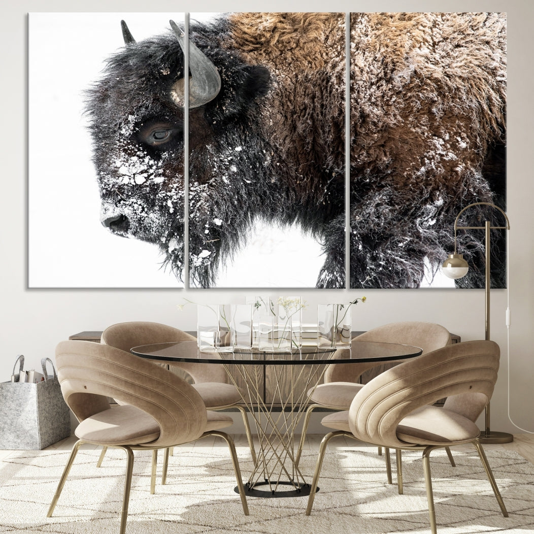 Bison Wall Art Canvas