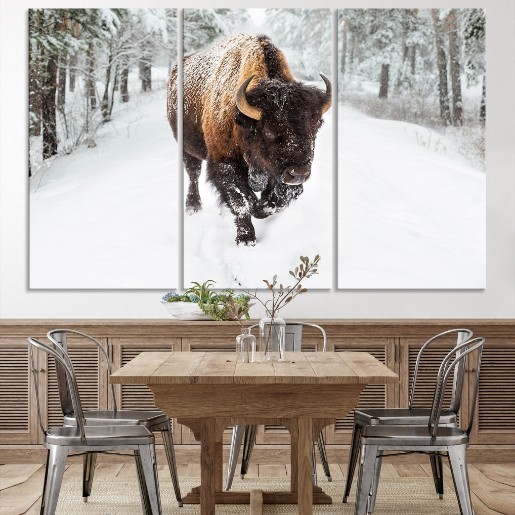 Bison Wall Art Canvas Print Winter