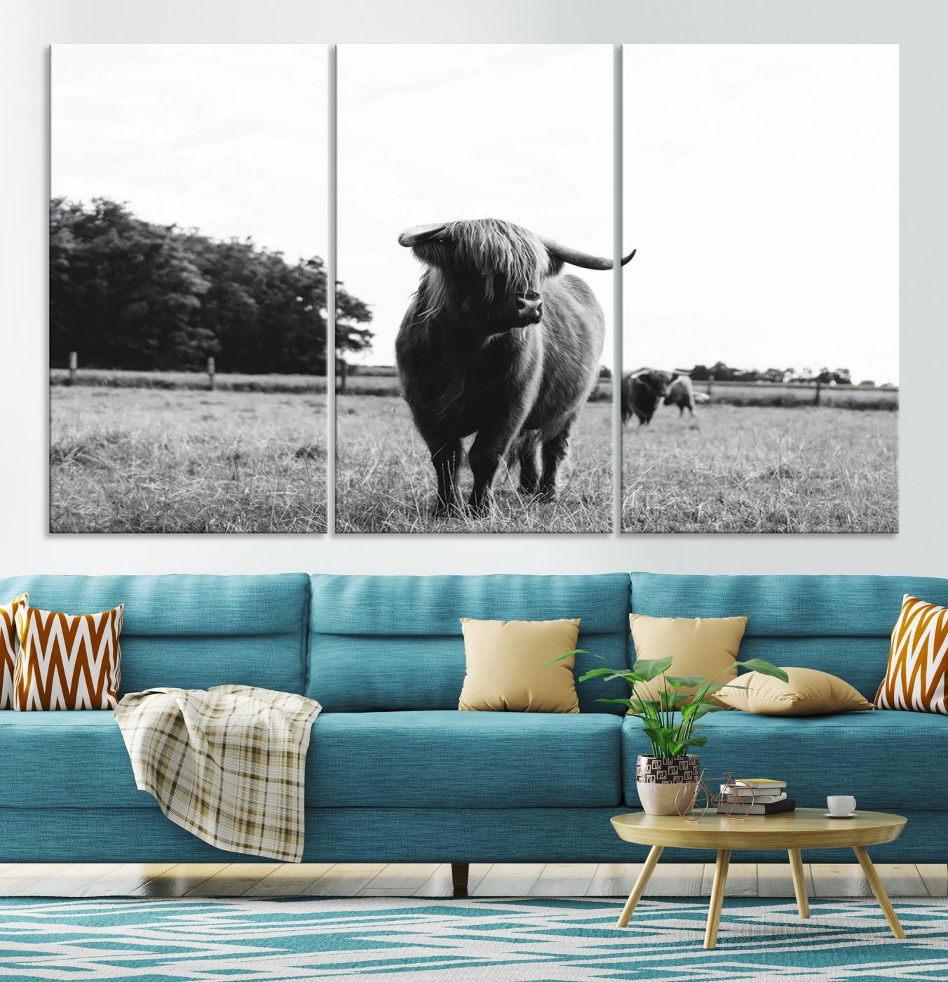 Scottish Cow Highland Wall Art Canvas Print