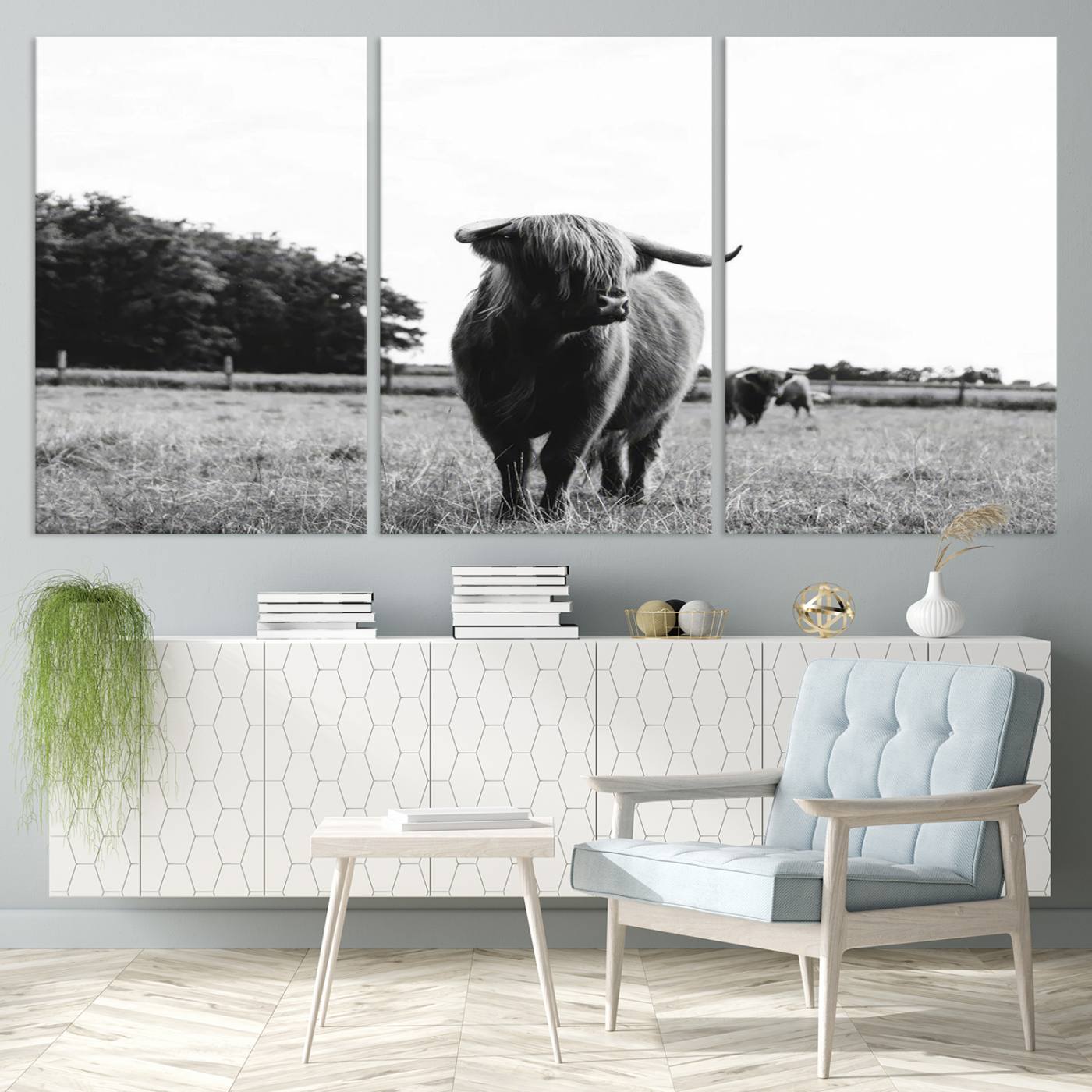 Scottish Cow Highland Wall Art Canvas Print