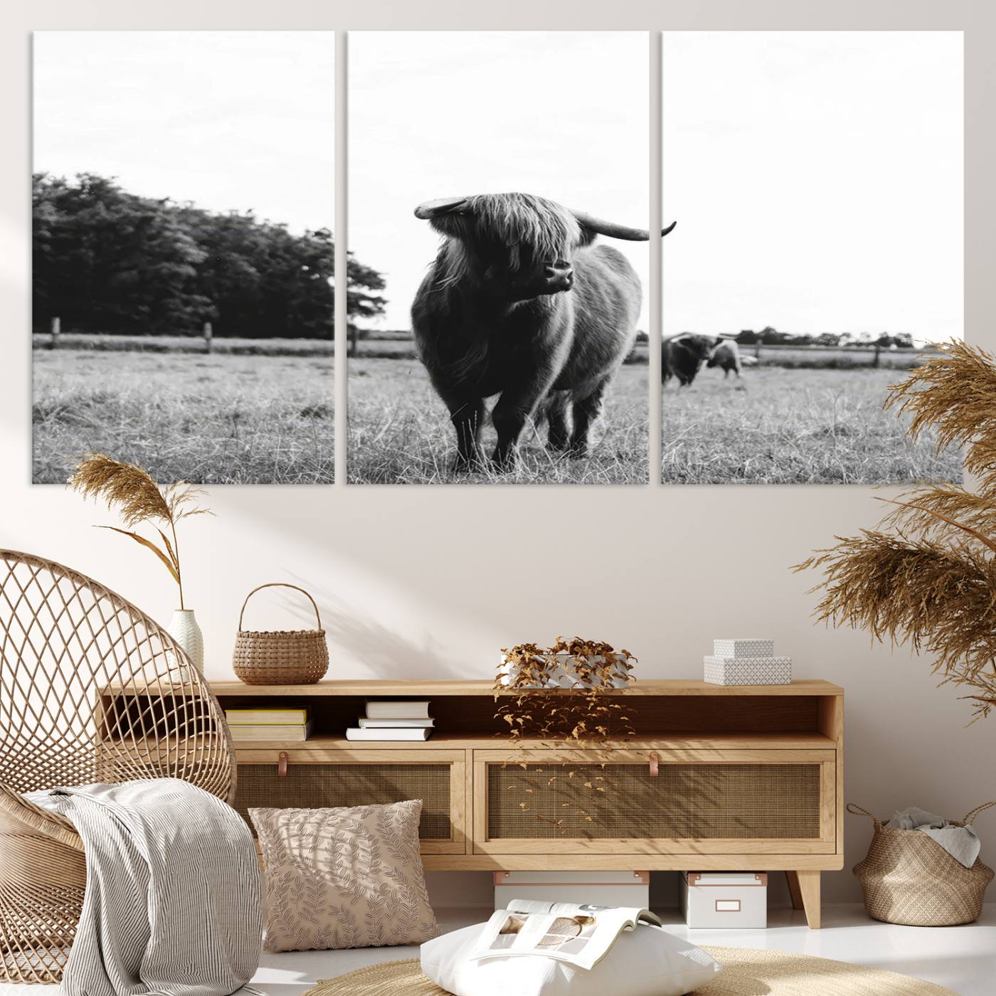 Scottish Cow Highland Wall Art Canvas Print