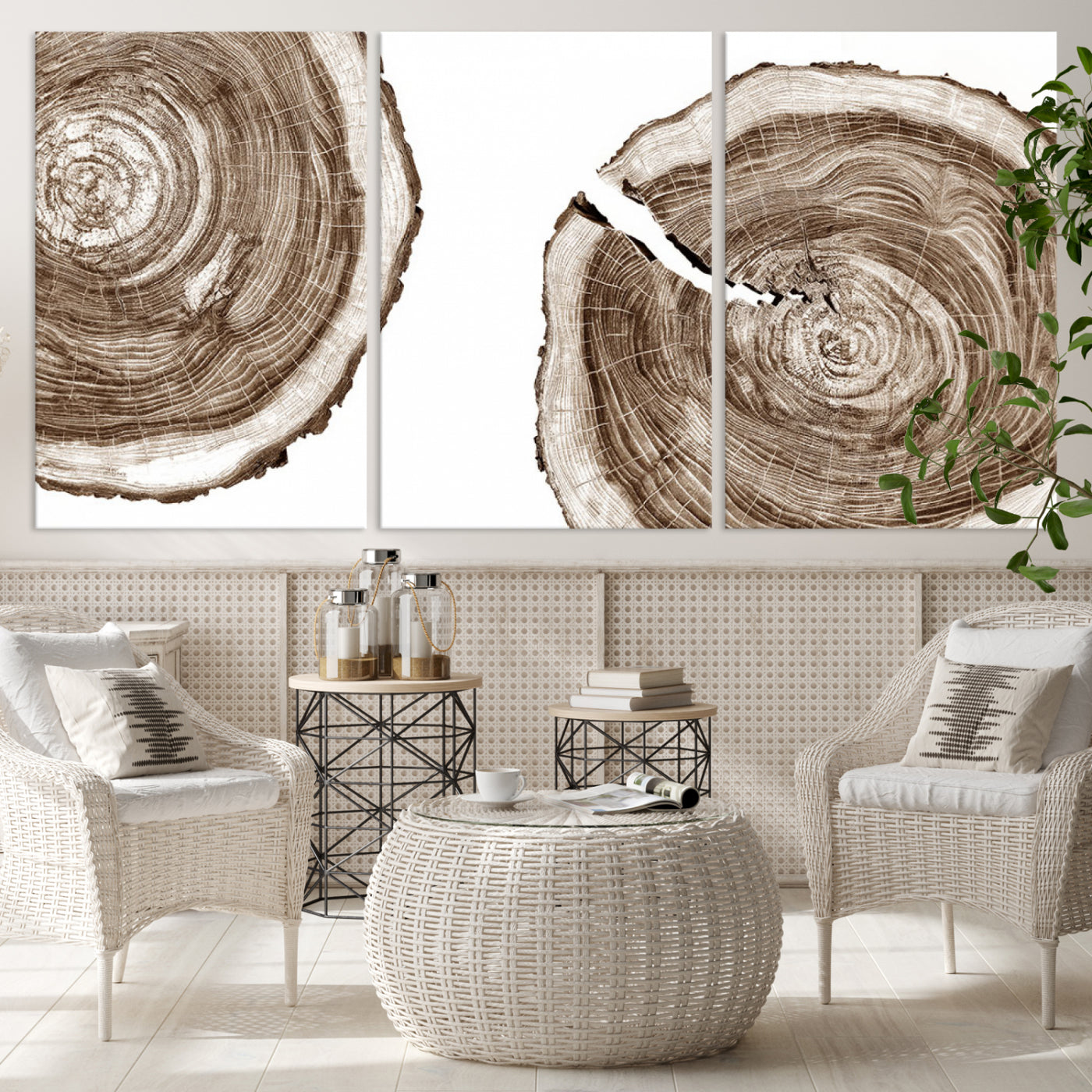 Wood Tree Ring Wall Art Canvas Prints, Lake House and Farmhouse Wall Art Print