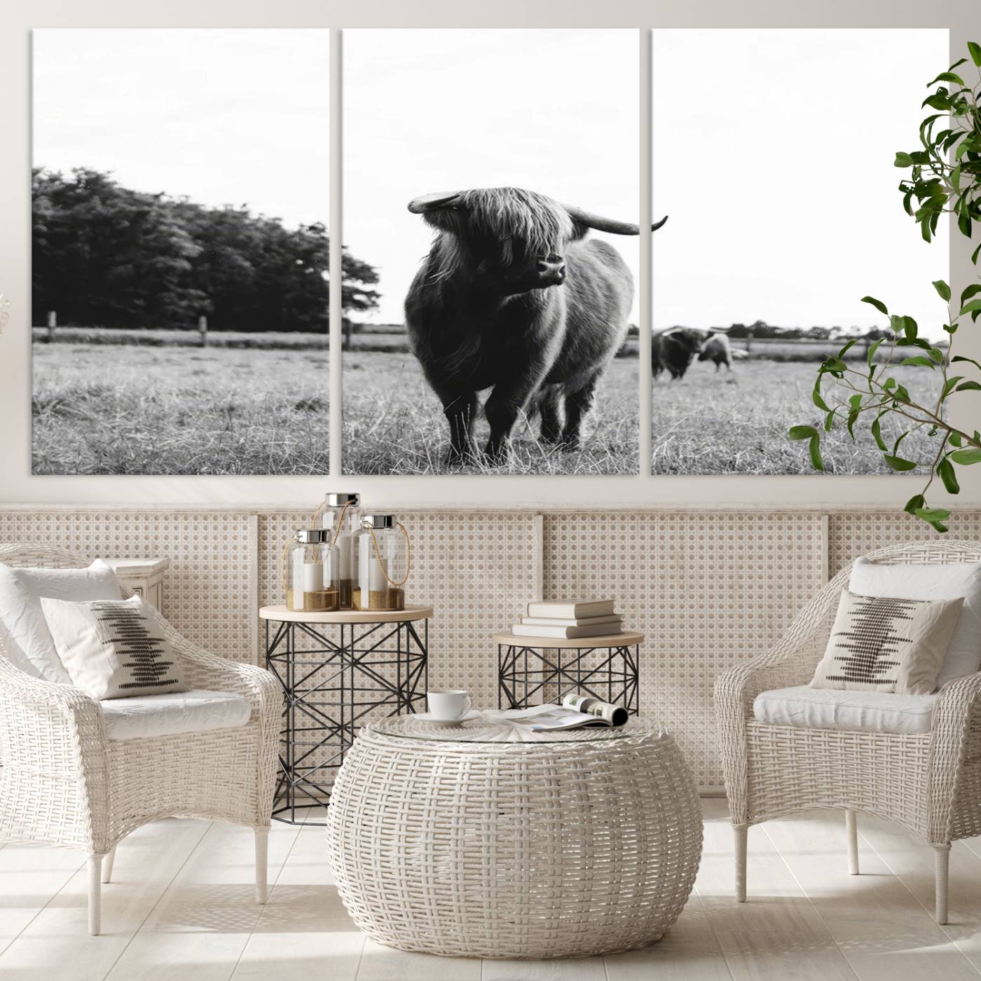 Scottish Cow Highland Wall Art Canvas Print