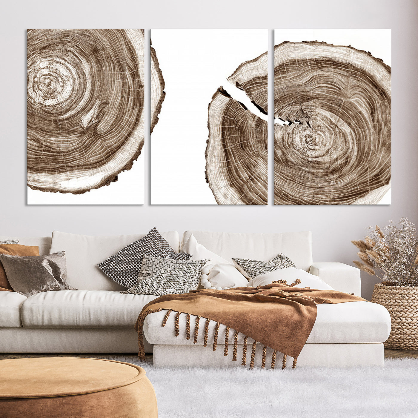 Wood Tree Ring Wall Art Canvas Prints, Lake House and Farmhouse Wall Art Print