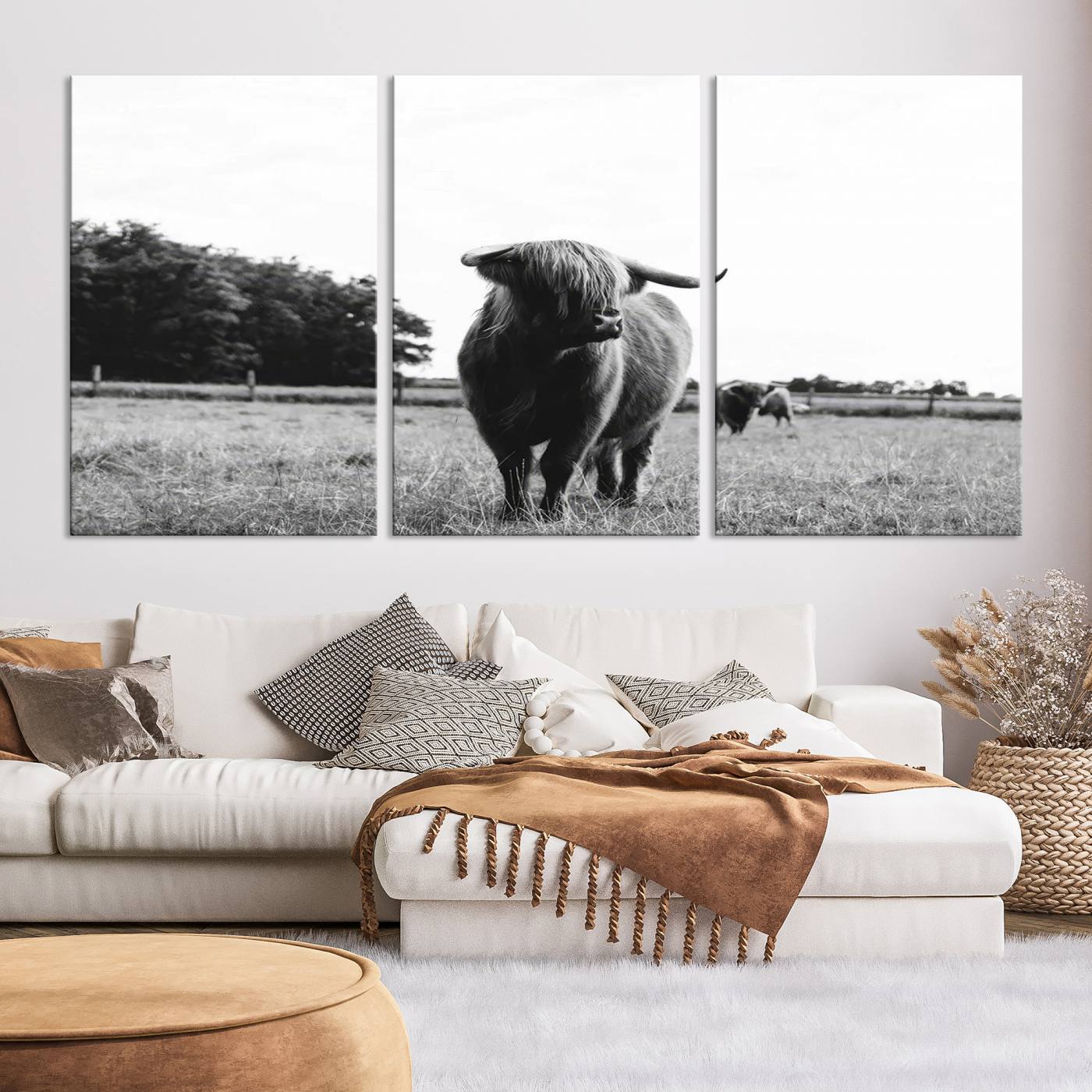 Scottish Cow Highland Wall Art Canvas Print