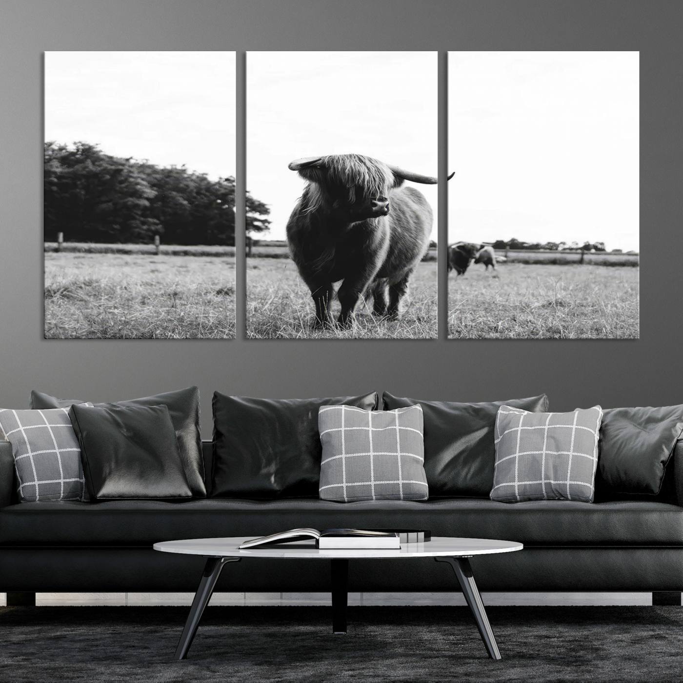 Scottish Cow Highland Wall Art Canvas Print