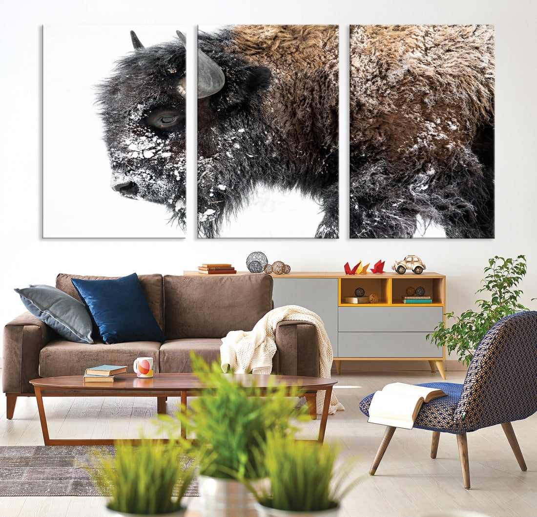 Bison Wall Art Canvas