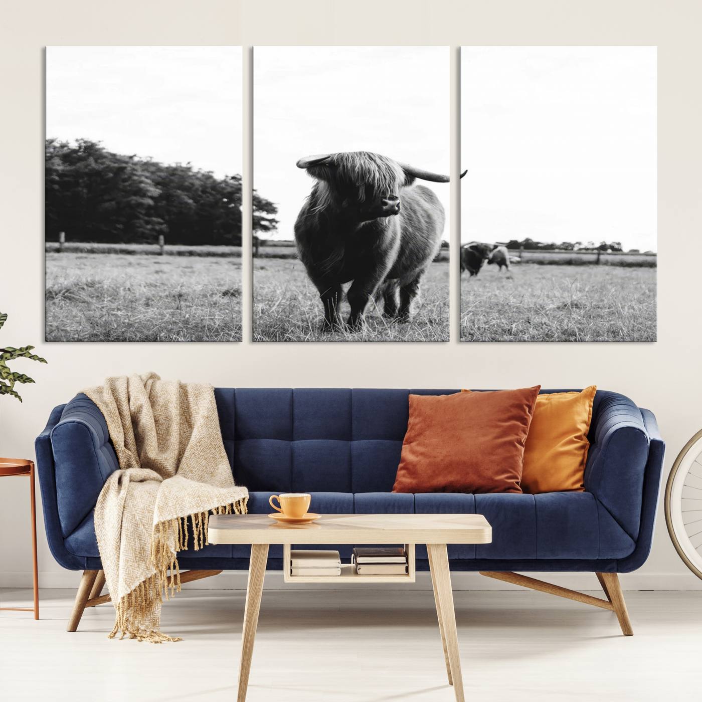 Scottish Cow Highland Wall Art Canvas Print