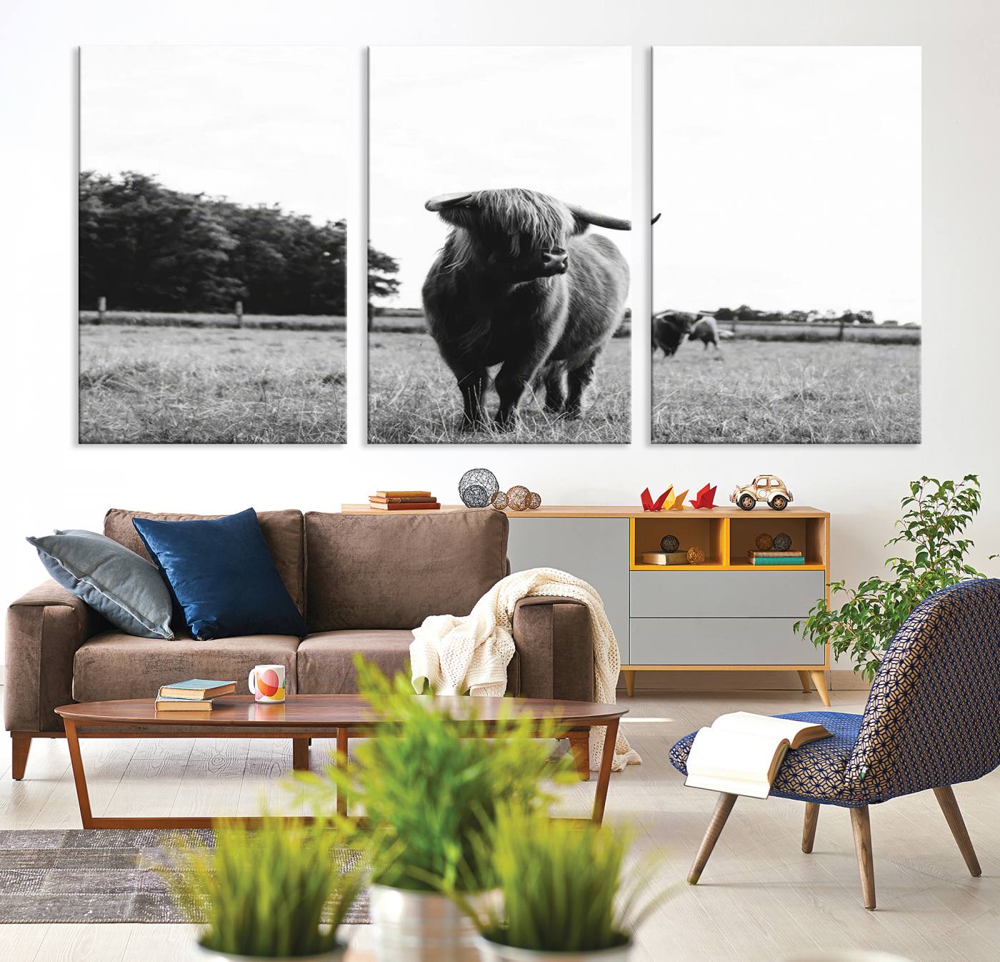 Scottish Cow Highland Wall Art Canvas Print