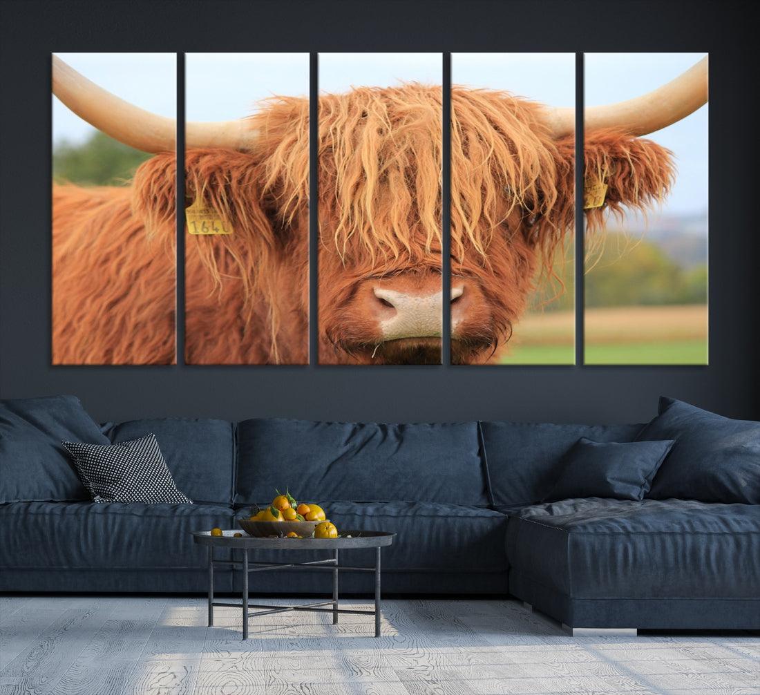 Highland Cow Close-up Canvas Wall Art Print Multi Panel Extra Large Canvas Set Framed Ready to Hang Artwork