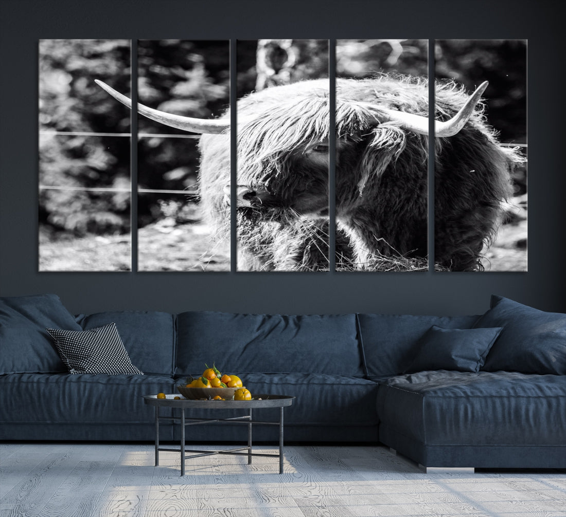 Black and White Highland Cow Canvas Wall Art Print Nature Photograph Canvas Art Large Cow Print Panel Canvas Set