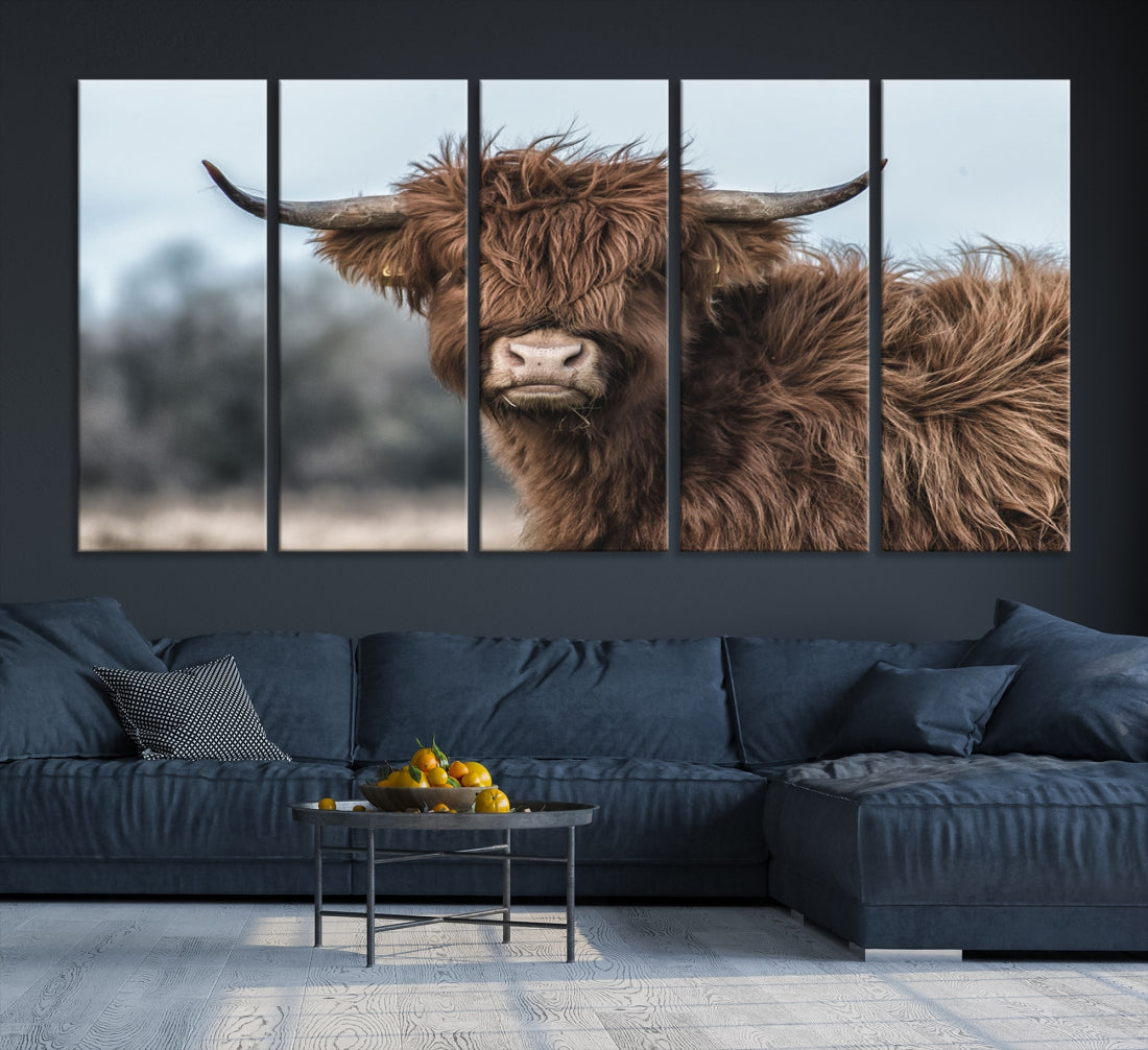 Fluffy Highland Cow Photograph Large Wall Art Canvas Print Cute Animals Picture Wall Decor Artwork for Living Room Farmhouse Printable Art Housewarming Gift Modern Home Art Decor