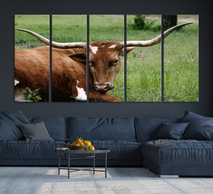 Big Horn Cow Animal Large Wall Art Canvas Print