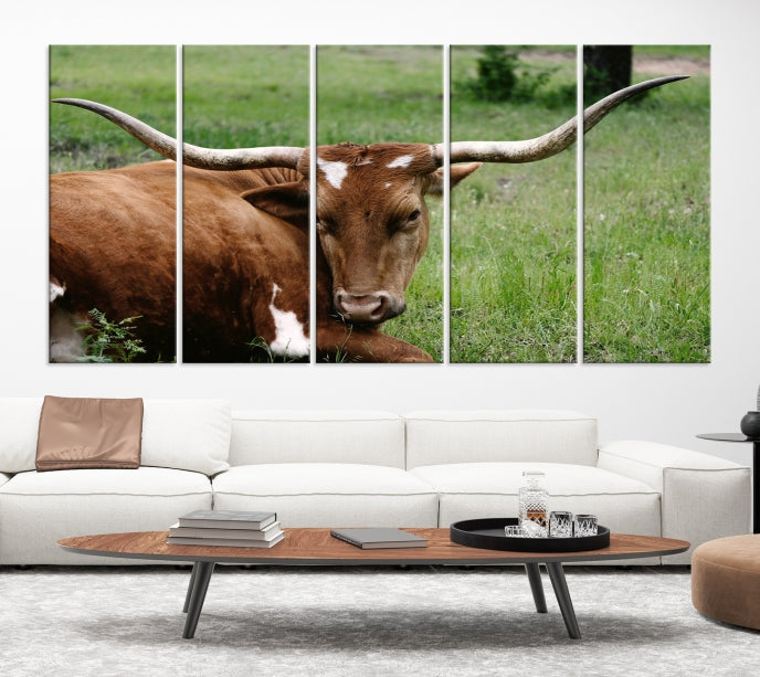 Big Horn Cow Animal Large Wall Art Canvas Print