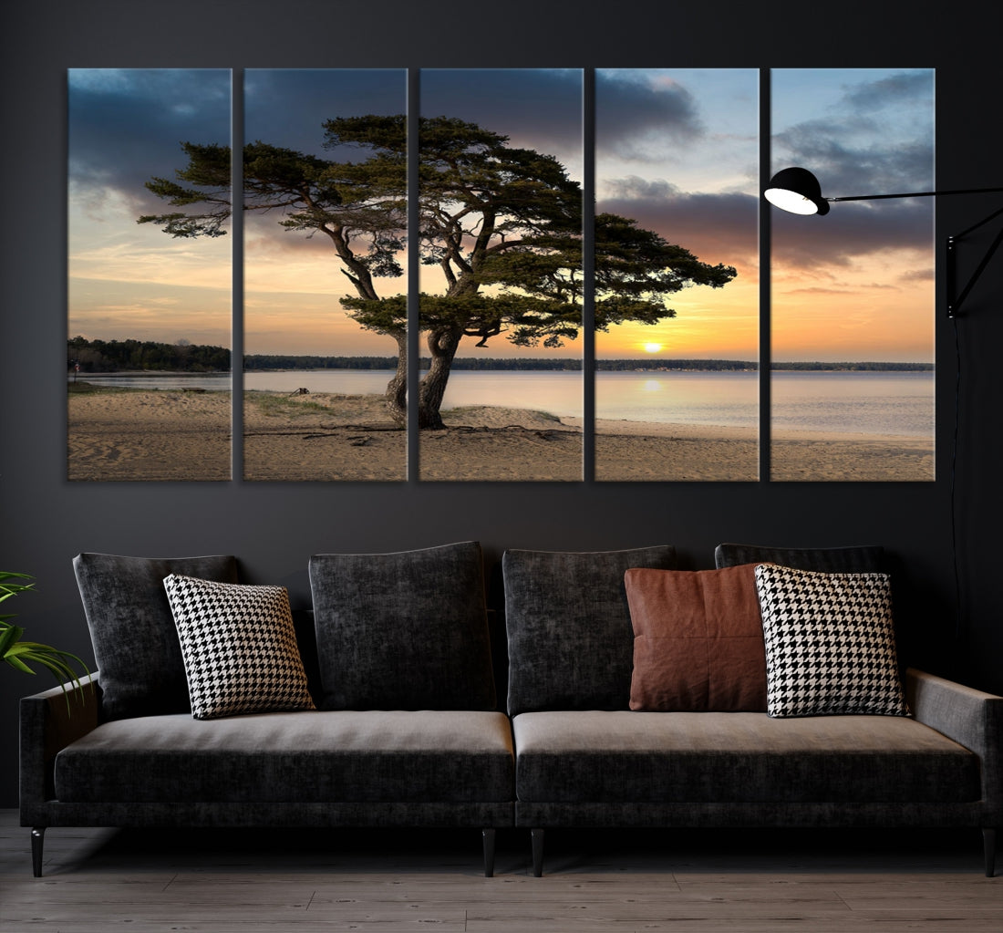 Big Tree Beach Coastal Sunset Wall Art Canvas Print Framed