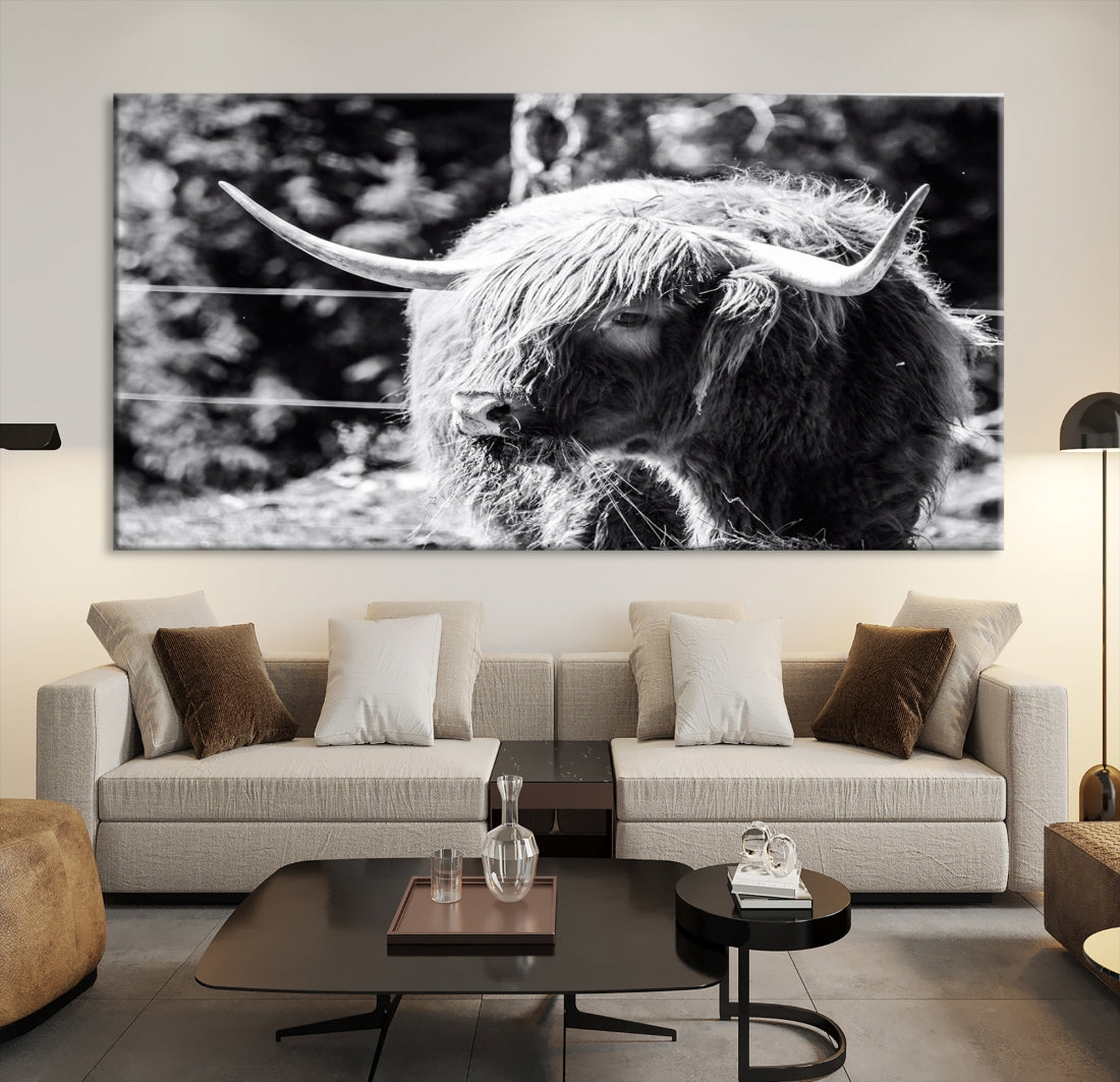 Black and White Highland Cow Canvas Wall Art Print Nature Photograph Canvas Art Large Cow Print Panel Canvas Set