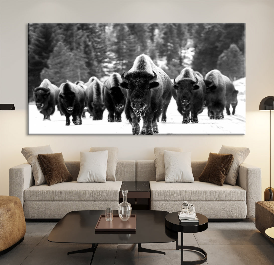 Buffalo Herd Wall Art Canvas Print, Bison Canvas Print